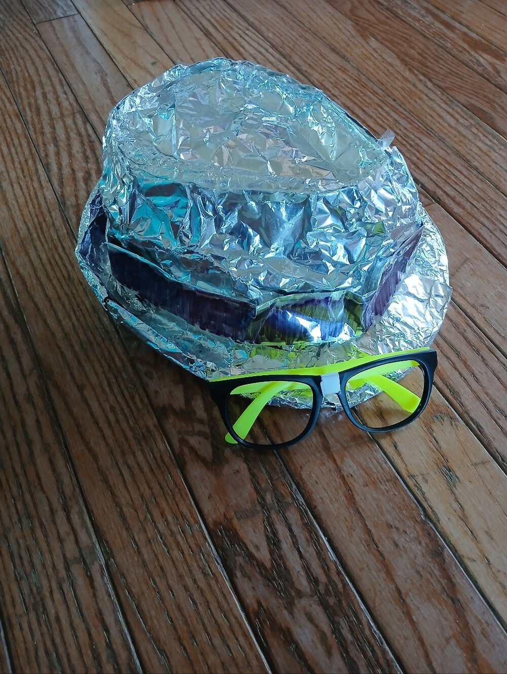 Conspiracy Theorist Inspired Homemade Costume